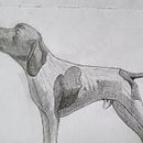 Meu projeto do curso: Sketching diário para melhorar suas técnicas de desenho Ein Projekt aus dem Bereich Skizzenentwurf, Bleistiftzeichnung, Zeichnung, Porträtzeichnung und Anatomische Zeichnung von plutao_19 - 11.05.2024