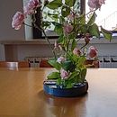 Il mio progetto del corso: Ikebana: composizione floreale per principianti. Un proyecto de Diseño de interiores, Decoración de interiores, Interiorismo, Diseño floral y vegetal de Chiara Bresciani - 18.05.2024
