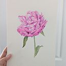 My project for course: Botanical Watercolor Illustration: Cross-hatching Technique. Un projet de Beaux Arts, Peinture, Aquarelle et Illustration botanique de sandralenore - 20.05.2024