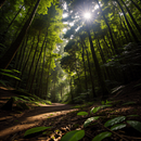 Mi proyecto del curso: Técnicas de corrección de color con DaVinci Resolve. Un proyecto de Cine, vídeo, televisión, Postproducción audiovisual y Corrección de color de Matías Bello - 20.05.2024