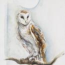 Sketchbook e acquerelli . Un proyecto de Ilustración tradicional, Pintura a la acuarela y Sketchbook de Martina Volandri - 21.05.2024