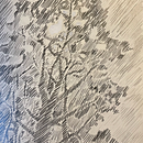 30 - DAYS - SKETCHBOOK - CHALLENGE. Traditional illustration, Creativit, and Pencil Drawing project by Almuth Jung - 05.22.2024