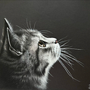El gato.. Un proyecto de Dibujo de Alisa Sorokina - 25.04.2022
