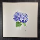 Mon projet du cours : Illustration botanique à l'aquarelle : la technique des hachures. Artes plásticas, Pintura, Pintura em aquarela e Ilustração botânica projeto de Dominique Mauqui - 25.05.2024