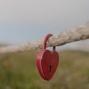 Il mio progetto del corso: Fotografia e colori: crea un look cinematografico Ein Projekt aus dem Bereich Außenfotografie, Fotografie für Instagram, Fotografische Komposition und Farbenlehre von barbara_wu - 25.05.2024
