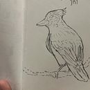 My project for course: Daily Sketching for Creative Inspiration . % Fredmil Jose Osorio Brito tarafından hazırlanan Geleneksel illüstras, on, Eskiz çizimi, Yaratıcılık, Çizim, Ve Eskiz defteri projesi - 05.26.2024