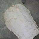 My project for course: Creation of Molds for Ceramic Reproduction. Un projet de Artisanat, Beaux Arts , et Céramique de Leni Loizou - 30.05.2024