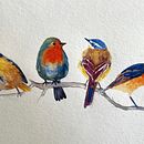 My project for course: Artistic Watercolor Techniques for Illustrating Birds. Projekt z dziedziny Trad, c, jna ilustracja, Malowanie akwarelą, R, sunek realist, czn, Ilustracja naturalist i czna użytkownika Kate Alexandra Price - 31.05.2024