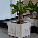 Maseta Arena y nacar. Design de interiores projeto de Danilo Pineda - 31.05.2024