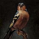  Oil Painting for Naturalist Bird Portraiture Ein Projekt aus dem Bereich Bildende Künste, Malerei, Ölmalerei und Naturalistische Illustration von Petra Chriastelova - 01.06.2024