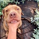 Mi Sabio Maestro. Un progetto di Scrittura, Creatività, Stor, telling, Narrativa e Scrittura creativa di Michelle Cabrera - 01.06.2024