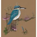 My project for course: Natural Illustration with Digital Painting Ein Projekt aus dem Bereich Traditionelle Illustration, Zeichnung, Digitale Illustration, Realistische Zeichnung, Digitale Malerei und Naturalistische Illustration von jessica_r - 10.06.2024