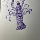Mi proyecto del curso: Ilustración en sketchbook con bolígrafo: disfruta dibujando. Un projet de Esquisse , Dessin, Carnet de croquis et Illustration à l'encre de Ángela Martín Romero - 10.06.2024
