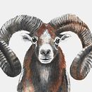 Il mio progetto del corso: Illustrazione realistica di animali selvatici ad acquerello Ein Projekt aus dem Bereich Bildende Künste, Malerei, Aquarellmalerei und Naturalistische Illustration von Serena Maggi - 12.06.2024