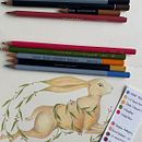 Mi proyecto del curso: Ilustración surrealista inspirada en la naturaleza. Traditional illustration, Pencil Drawing, Drawing, Artistic Drawing, Naturalistic Illustration, and Colored Pencil Drawing project by Katherine Guerra - 06.12.2024