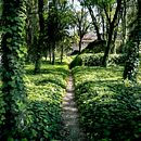 Mi proyecto del curso: Teoría del color en fotografía. Projekt z dziedziny Fotografia, Retuszowanie fotografii, Fotografia c, frowa,  Kompoz, cja w fotografii i Teoria barw użytkownika Dario Gaston Forcada De La Peña - 07.06.2024