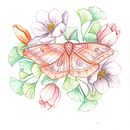 Mi proyecto del curso: Dibujo y composición naturalista en acuarela. Een project van Traditionele illustratie,  Tekening, Aquarelschilderen y Naturalistische illustratie van Sandra Milena - 14.06.2024