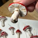 Meu projeto do curso: Design e criação de acessórios com polymer clay. Design de acessórios, Artesanato, Design de joias, e Cerâmica projeto de Anabela Pombo - 06.06.2024