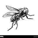 Mi proyecto del curso: Escritura creativa para principiantes: da vida a tu historia . % Marisol tarafından hazırlanan Yazma, Yaratıcılık, Hika, e anlatımı, Anlatı, Ve Yaratıcı Yazarlık projesi - 06.17.2024