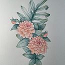 My project for course: Artistic Techniques for Illustrating Nature. Projekt z dziedziny Trad, c, jna ilustracja, Malowanie akwarelą, R i sunek botaniczn użytkownika Cristine Girardi-Heer - 15.06.2024