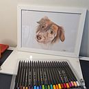 Meu projeto do curso: Retratos de pets a lápis de cor. Un proyecto de Ilustración tradicional e Ilustración naturalista				 de vaarruda_jornalista - 11.06.2024