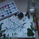 Mon projet du cours : Création d’une composition florale à l’aquarelle. Ilustração tradicional, Artes plásticas, Pintura, Pintura em aquarela, Ilustração botânica e Ilustração naturalista projeto de vanguer - 20.06.2024