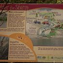 Primavera en Sunridge Park Lethbridge, AB, Canadá. Fotografia documental, Fotografia, e Fotografia em exteriores projeto de Maria J. Riviere - 20.06.2024