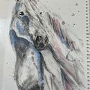 My project for course: Expressive Animal Portraits in Watercolor. Un proyecto de Ilustración tradicional, Pintura a la acuarela, Dibujo realista e Ilustración naturalista				 de Julie Roberts-Thomas - 20.06.2024