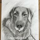 My project for course: Animal Illustration with Charcoal and Ink. Un proyecto de Bellas Artes, Dibujo, Ilustración con tinta e Ilustración naturalista				 de Donna G - 20.06.2024