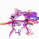 blob. Un progetto di Arte concettuale, 3D, Programmazione, Fotografia e Creazione di Contenuti con IA di francois godineau - 21.06.2024