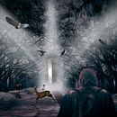 My project for course: Digital Collage in Photoshop: Composition and Visual Effects . Fotografi, Kolase, Retouching Foto, Fotografi Seni Rupa, Komposisi Fotografi, Dan Photomontage proyek oleh Jakub Dziezyc - 06.23.2024