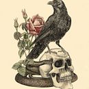 My project for course: Naturalist Illustration with Ballpoint Pen . Un proyecto de Ilustración tradicional, Dibujo, Dibujo realista e Ilustración naturalista				 de Irina Cara Carina - 23.06.2024
