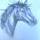 My project for course: Realistic Wildlife Images in Graphite Pencil. Un projet de Beaux Arts, Dessin, Dessin réaliste et Illustration naturaliste de nnanc - 24.06.2024