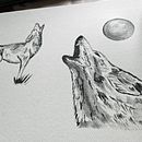 My project for course: Animal Illustration with Charcoal and Ink. Un projet de Beaux Arts, Dessin, Illustration à l'encre et Illustration naturaliste de Kat Todor - 23.06.2024