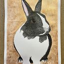Retrato de mascotas . Un proyecto de Ilustración tradicional de Sofia Morillas - 21.06.2024