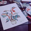 acuarela de planta. Watercolor Painting, Painting, Fine Arts, Traditional illustration, and Botanical Illustration project by Camila Contreras - 06.25.2024