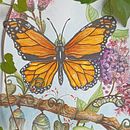 Mon projet du cours : Aquarelle botanique : peindre le monde naturel. Fine Arts, Painting, Watercolor Painting, Botanical Illustration, and Naturalistic Illustration project by Michelle Guay - 06.27.2024