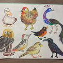 Meu projeto do curso: Técnicas de ilustração para desbloquear sua criatividade. Projekt z dziedziny Design, Trad, c, jna ilustracja,  Sztuki piękne,  Malarstwo, Kreat, wność, Kreat, wne zabaw, z dziećmi i Sketchbook użytkownika Larissa Galastri - 26.06.2024