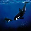 Orca's . Artes plásticas, Pintura, Criatividade, Desenho, Ilustração digital, Desenho artístico, Desenho digital, Pintura digital, e Sketchbook projeto de Marvin M - 28.03.2024
