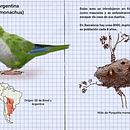 Mi proyecto del curso: Cuaderno de viaje ilustrado: registra la naturaleza. Projekt z dziedziny R, sunek ołówkiem,  R, sunek, Malowanie akwarelą, Sketchbook, Ilustracja naturalist i czna użytkownika Luis Caila - 30.06.2024