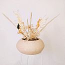 Mi proyecto del curso: Diseño de centros con flores secas y preservadas. Design de interiores, Paisagismo, Decoração de interiores, DIY, e Design floral e vegetal projeto de Hernán Granada - 30.06.2024