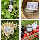 My project for course: Professional Photography for Instagram. Un proyecto de Publicidad, Fotografía, Marketing, Redes Sociales, Fotografía con móviles, Fotografía de producto, Mobile marketing, Instagram, Fotografía para Instagram, Fotografía Lifest y le de Wendy Munoz - 04.07.2024