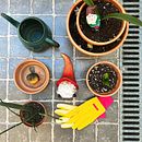 Meu projeto do curso: Fotografia e composição para o Instagram. Un progetto di Fotografia, Social media, Fotografia con smartphone, Marketing digitale, Fotografia digitale, Instagram, Fotografia per Instagram e Composizione fotografica di Juliana Fonseca - 05.07.2024