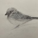Charcoal Drawings. Een project van  Artistieke tekening van Bhanu Prakash - 07.07.2024