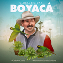 Diseño de afiche ilustrado para el Global Big Day 2021 Colombia. Un proyecto de Ilustración digital de Javier Piragauta - 03.05.2021
