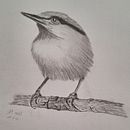 My project for course: Artistic Watercolor Techniques for Illustrating Birds. Ilustração tradicional, Pintura em aquarela, Desenho realista e Ilustração naturalista projeto de Ilse Nielson - 11.07.2024