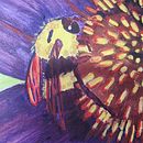 My project for course: Watercolor with Filigree and Metallic Details. Un progetto di Illustrazione tradizionale, Pittura, Pittura ad acquerello, Illustrazione botanica, Illustrazione naturalistica e Pittura decorativa di Theresa Pollum - 12.07.2024