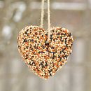 DIY Birdseed Ornaments. Arts, Crafts, and Creating with Kids project by Debbie Chapman - 07.12.2024