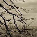 Mi proyecto del curso: Introducción a la fotografía de viaje Ein Projekt aus dem Bereich Fotografie, Außenfotografie, Fotografie für Instagram, Dokumentarfotografie und Fotografische Komposition von Lina Cristina Correal Herrera - 13.07.2024