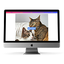 Book a Petsitter. Web Design, Mobile Design, App Design, Digital Design, Web Development, and Programming project by Hamit Oben Ozyakali Tibar - 07.14.2024